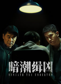 暗潮缉凶